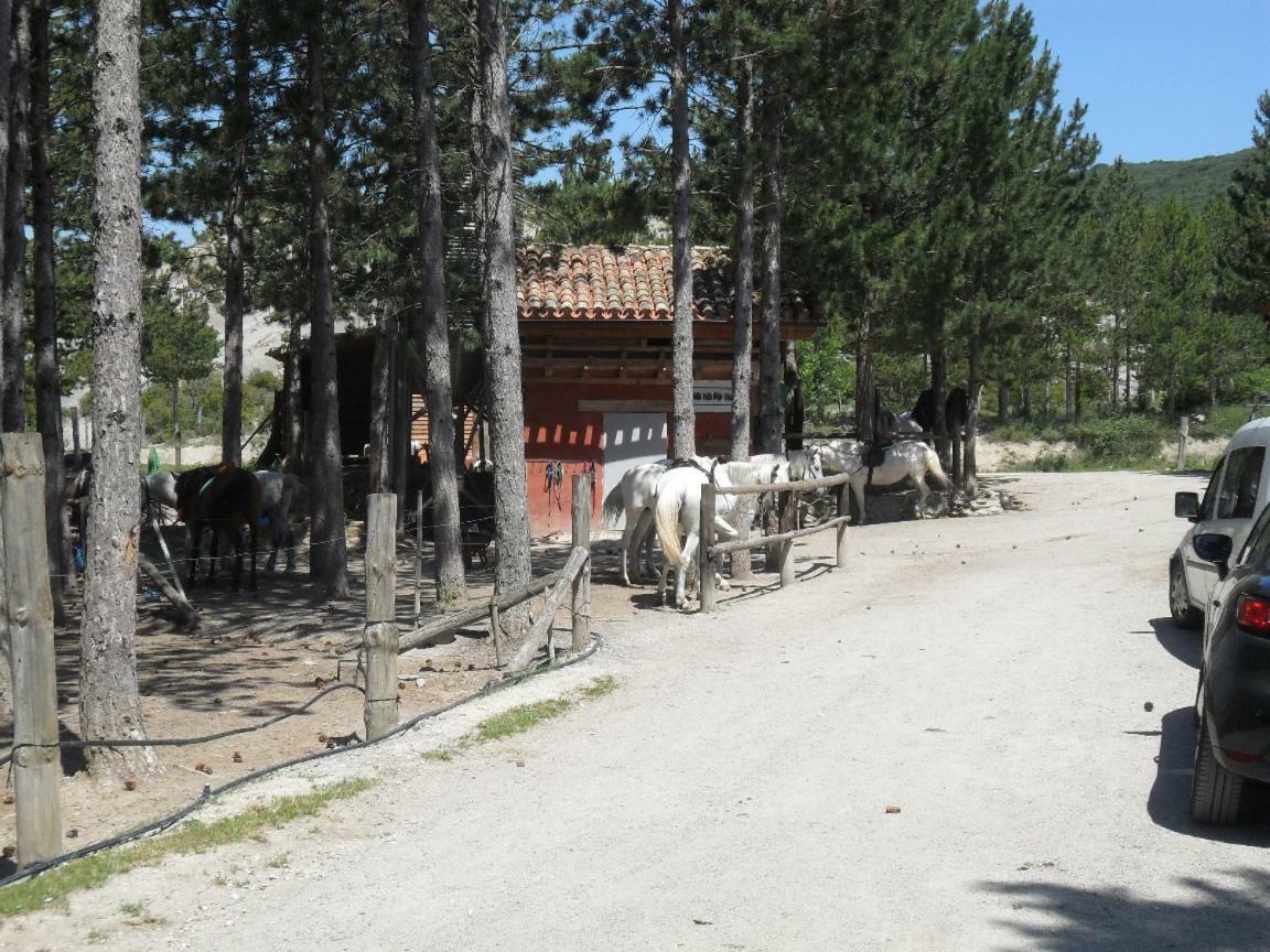 SansoáinBienvenidos A Vuestra Casa!公寓 外观 照片
